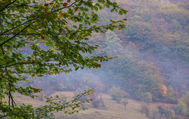 Dağlar, sis bulutları ve sonbahar yaprakları ile uzak kırsal bölgede ürkütücü sahne