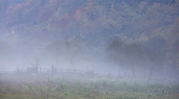 Eerie scenery in a remote rural area in the mountains, with mist clouds and autumn foliage