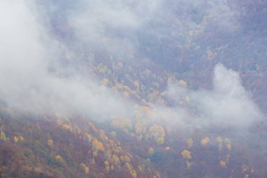 Sonbahar sahne güzel bitki örtüsü ve sis bulutları ile dağlarda