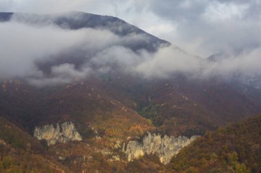 Orman ve sis bulutları altın yaprakları ile dağlarda, güzel sonbahar sahne