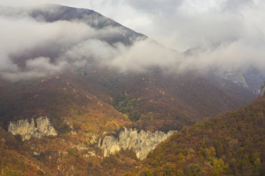 Orman ve sis bulutları altın yaprakları ile dağlarda, güzel sonbahar sahne