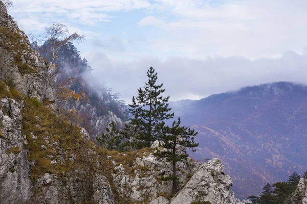 在山区偏远的农村地区 有薄雾云和秋叶的怪异风景 — 图库照片