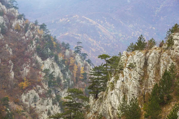 Unheimliche Landschaft Einer Abgelegenen Ländlichen Gegend Den Bergen Mit Nebelschwaden — Stockfoto