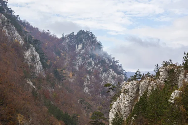 Herbstlandschaft Den Bergen Mit Schönem Laub Und Nebelschwaden — Stockfoto