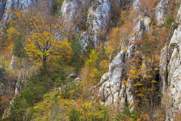 Осінні Пейзажі Горах Красивим Листям Туманними Хмарами — стокове фото