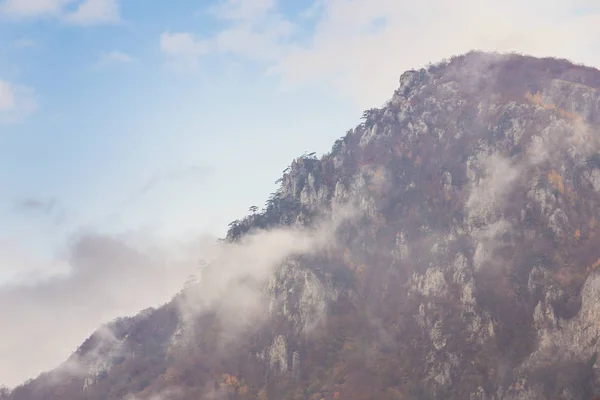 Sonbahar Sahne Güzel Bitki Örtüsü Sis Bulutları Ile Dağlarda — Stok fotoğraf