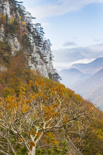 Podzimní Krajina Horách Krásnou Zeleň Mlha Mraky — Stock fotografie
