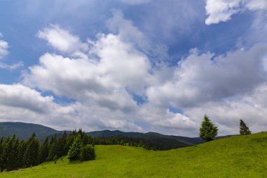 Güzel pastoral sahne dağlarında Bahar, köknar ağacı ormanlar, yeşil yeşillik ve bulutlar