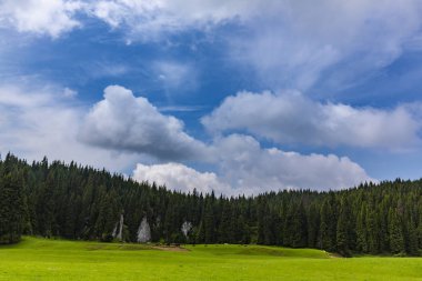 Güzel pastoral sahne dağlarında Bahar, köknar ağacı ormanlar, yeşil yeşillik ve bulutlar