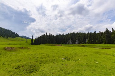 Güzel pastoral sahne dağlarında Bahar, köknar ağacı ormanlar, yeşil yeşillik ve bulutlar