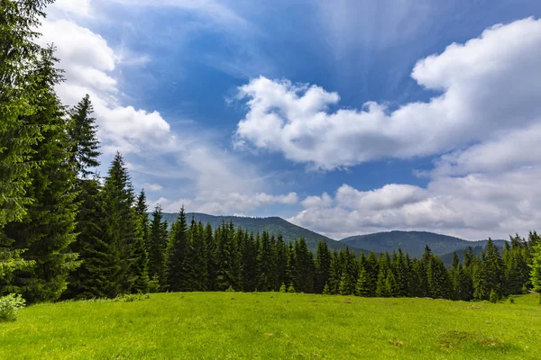 Beautiful pastoral scenery in the mountains, in spring, with fir tree forests, green foliage and clouds