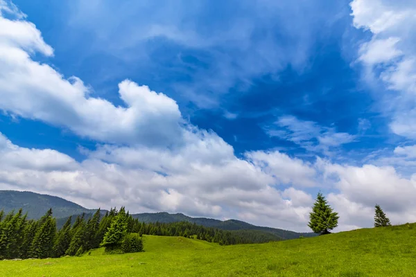 Красиві Пасторальні Пейзажі Горах Навесні Лісами Ялинки Зеленим Листям Хмарами — стокове фото