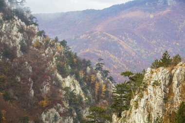 Dağlar ve kalker kayaların üzerinde asılı siyah çam ağaçları sonbahar renkleri