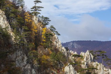 Dağlar ve kalker kayaların üzerinde asılı siyah çam ağaçları sonbahar renkleri