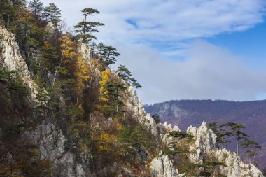 Dağlar, kayalar ve renkli yeşillik üzerinde asılı güzel ışık, çam ağaçları ile sonbahar sahne