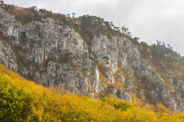 Dağlar, kayalar ve renkli yeşillik üzerinde asılı güzel ışık, çam ağaçları ile sonbahar sahne