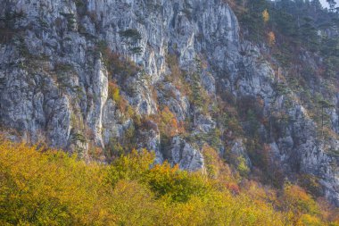 Dağlar, kayalar ve renkli yeşillik üzerinde asılı güzel ışık, çam ağaçları ile sonbahar sahne