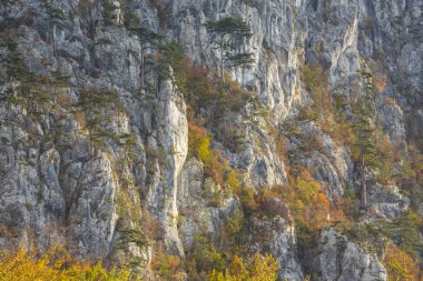 Dağlar, kayalar ve renkli yeşillik üzerinde asılı güzel ışık, çam ağaçları ile sonbahar sahne