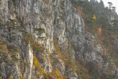 Dağlar, kayalar ve renkli yeşillik üzerinde asılı güzel ışık, çam ağaçları ile sonbahar sahne