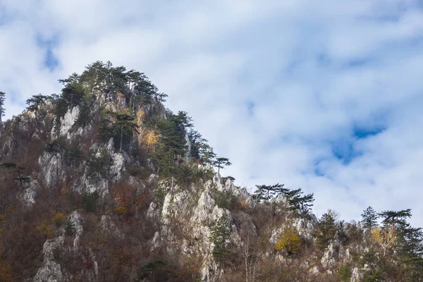 Herbstliche Landschaft Den Bergen Mit Schönem Licht Kiefern Die Felsen — Stockfoto