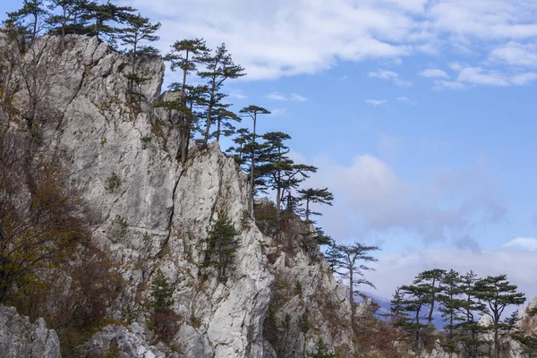 Herbstliche Landschaft Den Bergen Mit Schönem Licht Kiefern Die Felsen — Stockfoto