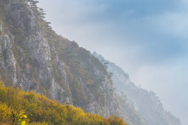 Herbstliche Landschaft Den Bergen Mit Schönem Licht Kiefern Die Felsen — Stockfoto