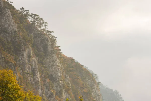 Herbstliche Landschaft Den Bergen Mit Schönem Licht Kiefern Die Felsen — Stockfoto