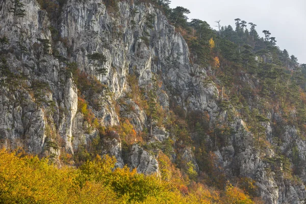Dağlar, kayalar ve renkli yeşillik üzerinde asılı güzel ışık, çam ağaçları ile sonbahar sahne