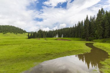 Alpler'de, yaz aylarında dağlarda güzel bir manzara, bozulmamış yeşil bir çayır ve ormanın ortasında bir göl ile