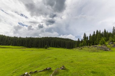 Alpler'de, yaz aylarında dağlarda güzel bir manzara, bozulmamış yeşil bir çayır ve ormanın ortasında bir göl ile