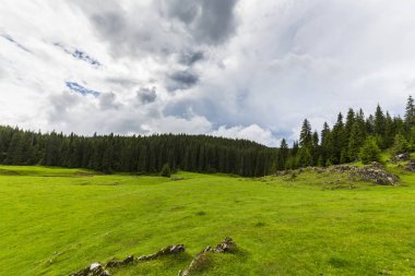 Alpler'de, yaz aylarında dağlarda güzel bir manzara, bozulmamış yeşil bir çayır ve ormanın ortasında bir göl ile
