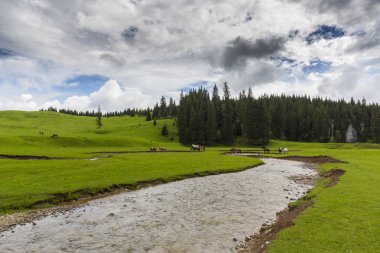 Alpler'de, yaz aylarında dağlarda güzel bir manzara, bozulmamış yeşil bir çayır ve ormanın ortasında bir göl ile