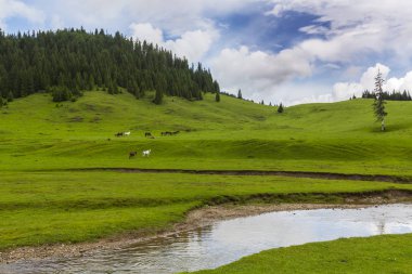 Alpler'de, yaz aylarında dağlarda güzel bir manzara, bozulmamış yeşil bir çayır ve ormanın ortasında bir göl ile