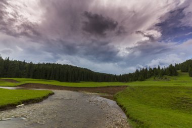 Alpler'de, yaz aylarında dağlarda güzel bir manzara, bozulmamış yeşil bir çayır ve ormanın ortasında bir göl ile
