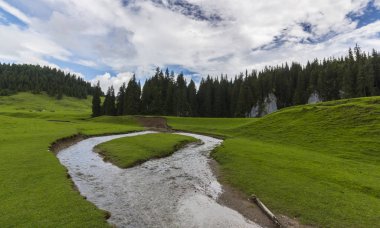 Alpler'de, yaz aylarında dağlarda güzel bir manzara, bozulmamış yeşil bir çayır ve ormanın ortasında bir göl ile