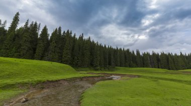 Alpler'de, yaz aylarında dağlarda güzel bir manzara, bozulmamış yeşil bir çayır ve ormanın ortasında bir göl ile