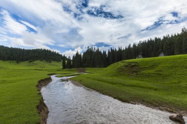 Alpler'de, yaz aylarında dağlarda güzel bir manzara, bozulmamış yeşil bir çayır ve ormanın ortasında bir göl ile