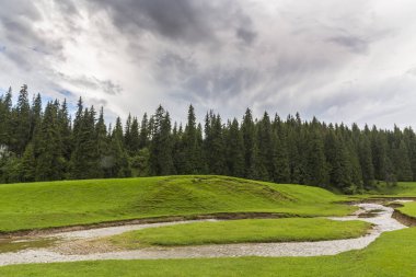 Alpler'de, yaz aylarında dağlarda güzel bir manzara, bozulmamış yeşil bir çayır ve ormanın ortasında bir göl ile