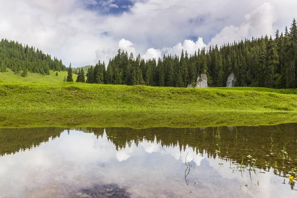 Beautiful Scenery Mountains Summer Pristine Green Meadow Lake Middle Woods — Stock Photo, Image