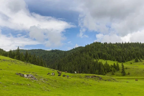 Hermoso Paisaje Las Montañas Verano Con Prado Verde Prístino Lago —  Fotos de Stock