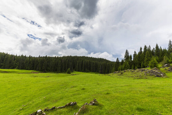 Красивые пейзажи в горах летом, с нетронутым зеленым лугом и озером посреди леса, в Альпах

