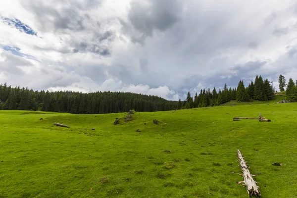 Schöne Landschaft Den Bergen Sommer Mit Einer Unberührten Grünen Wiese — Stockfoto