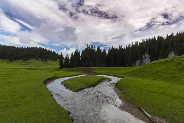 Hermoso Paisaje Las Montañas Verano Con Prado Verde Prístino Lago —  Fotos de Stock