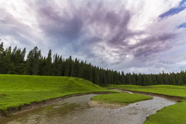 Schöne Landschaft Den Bergen Sommer Mit Einer Unberührten Grünen Wiese — Stockfoto