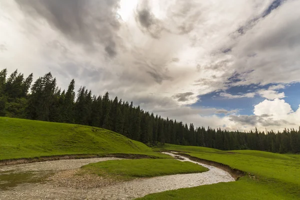 Hermoso Paisaje Las Montañas Verano Con Prado Verde Prístino Lago —  Fotos de Stock