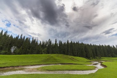 Romanya Alpleri 'nde yaz mevsiminde, uzak ve vahşi bir yerde muhteşem bir manzara.