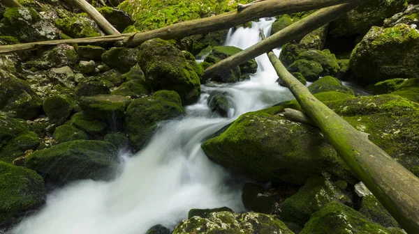 Malebné Vodopády Divoká Řeka Alpách Létě — Stock fotografie