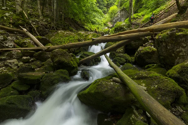 Scenic Vesiputouksia Joki Alpeilla Kesällä — kuvapankkivalokuva