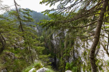 Romanya Alpleri 'nde yaz mevsiminde, uzak ve vahşi bir yerde muhteşem bir manzara.