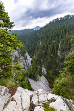 Romanya Alpleri 'nde yaz mevsiminde, uzak ve vahşi bir yerde muhteşem bir manzara.